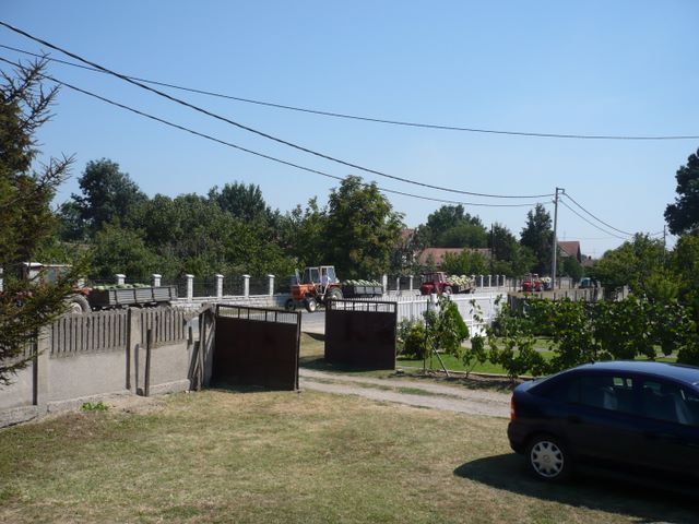 94