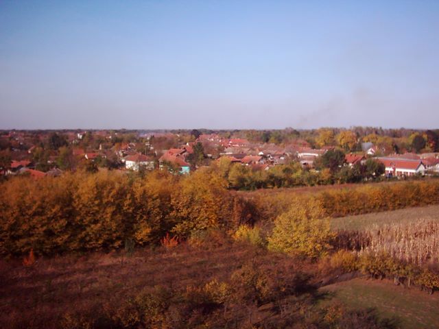 215